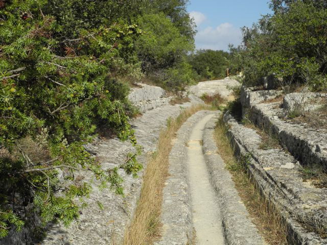 DSCN3101