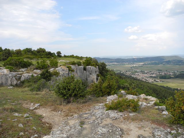 DSCN0002_1
