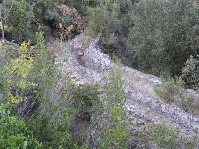 DSCN3026