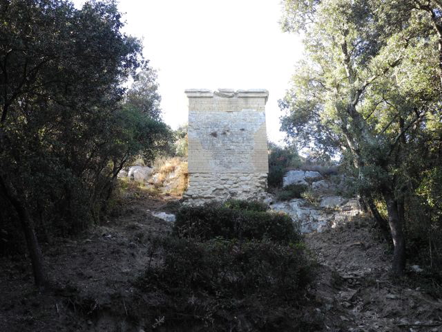 DSCN2968